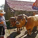 Holiday home Casa Da Eira -