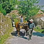 Casa Da Eira - Holiday home