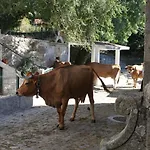Casa Da Eira - Holiday home Peixeninho