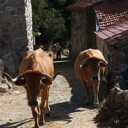 Ferienhaus Casa Da Eira -