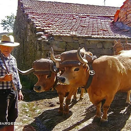 Ferienhaus Casa Da Eira -