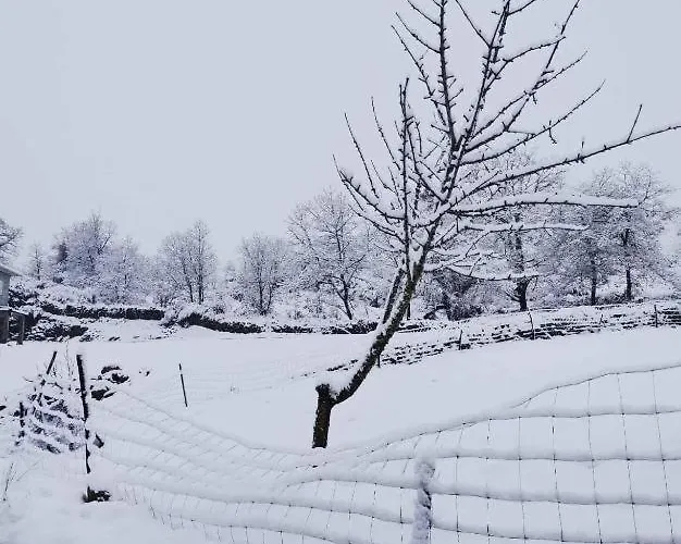 Casa Da Eira - Peixeninho Semesterbostad