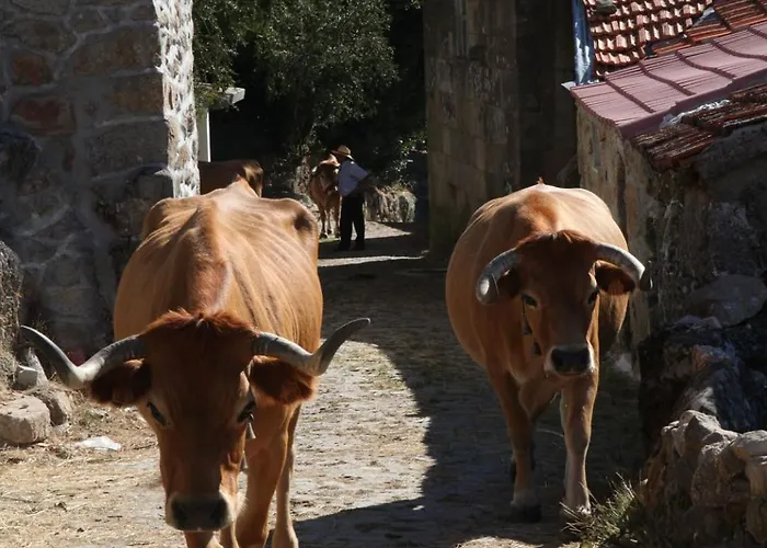 Semesterbostad Casa Da Eira - Peixeninho