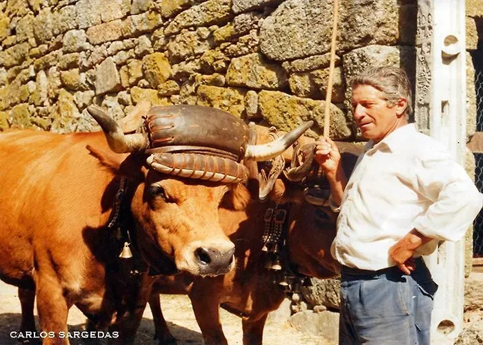 Semesterbostad Casa Da Eira - Peixeninho Peixeninho
