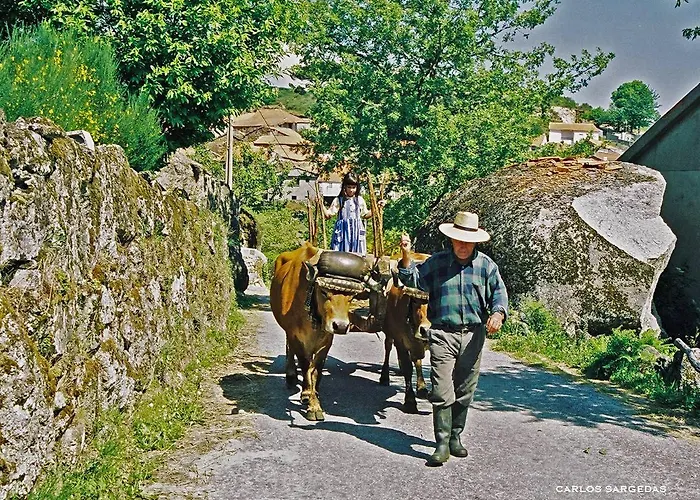 Casa Da Eira - Peixeninho Semesterbostad
