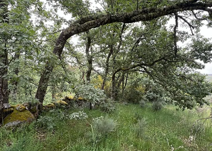 Semesterbostad Casa Da Eira - Peixeninho Peixeninho