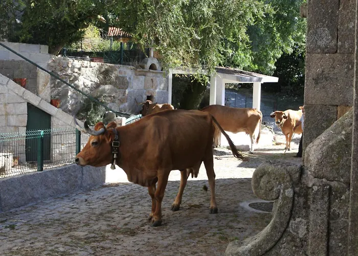 Casa Da Eira - Peixeninho Semesterbostad Peixeninho