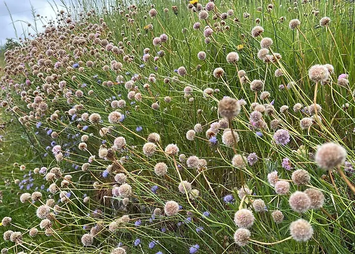 Casa Da Eira - Peixeninho * Peixeninho