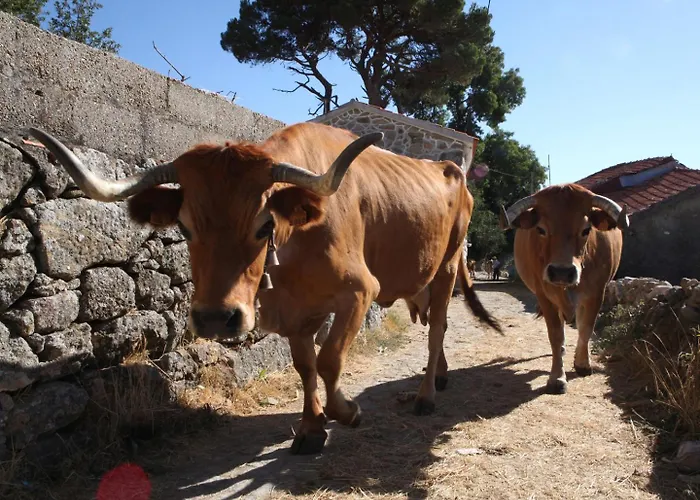 Casa Da Eira - Peixeninho Semesterbostad