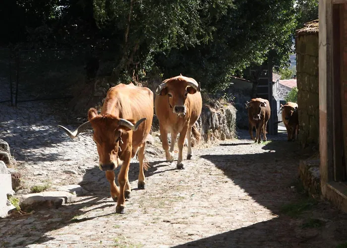 Casa Da Eira - Peixeninho *