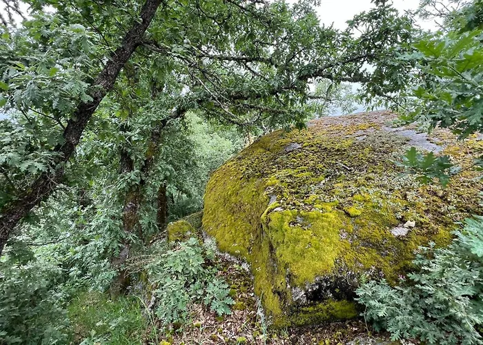 Casa Da Eira - Peixeninho Semesterbostad Peixeninho
