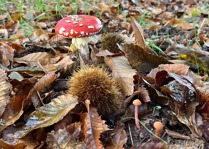Casa Da Eira - Peixeninho