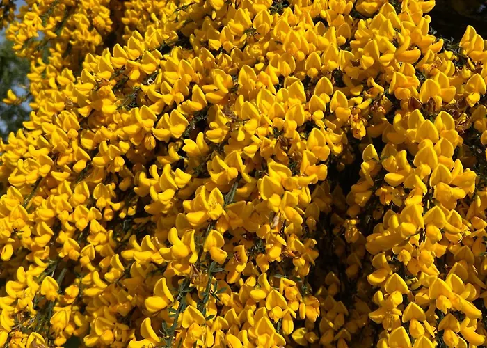 Casa Da Eira - Peixeninho