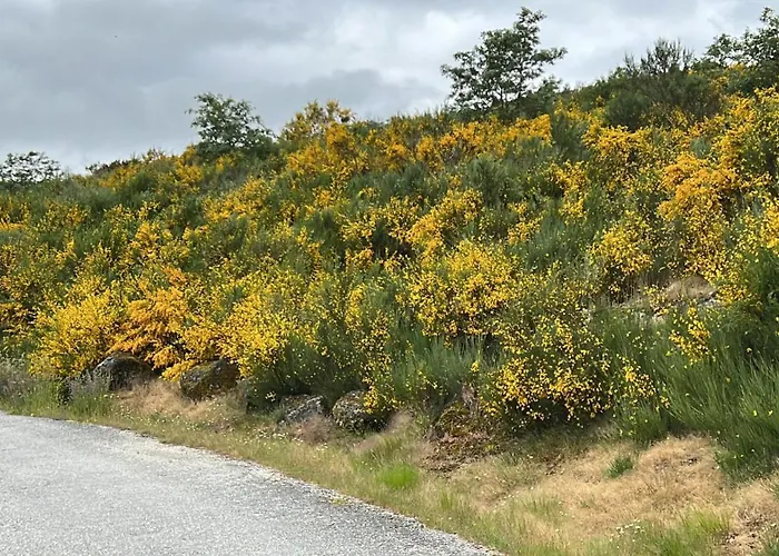Semesterbostad Casa Da Eira - Peixeninho Peixeninho