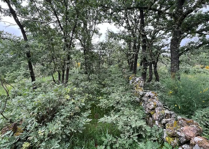 Casa Da Eira - Peixeninho Semesterbostad Peixeninho