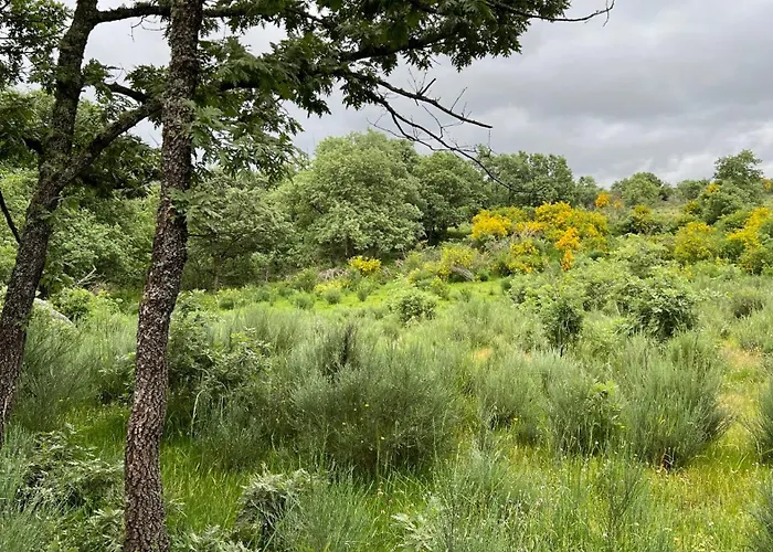 Casa Da Eira - Peixeninho Semesterbostad