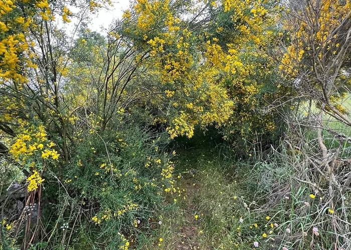 Semesterbostad Casa Da Eira - Peixeninho Peixeninho