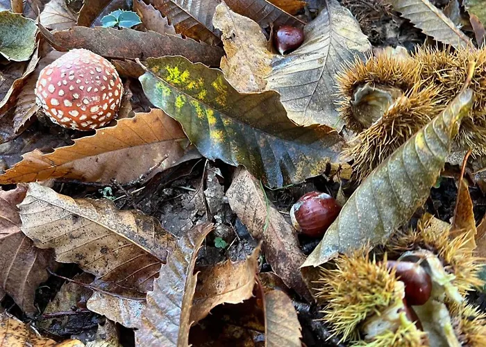 Casa Da Eira - Peixeninho * Peixeninho